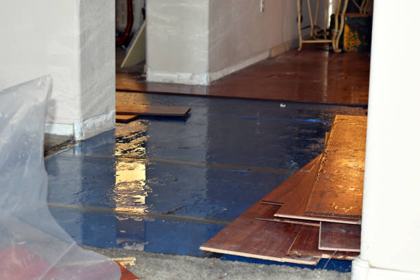 Professional Water Damage Restoration technician working in Colfax, IA